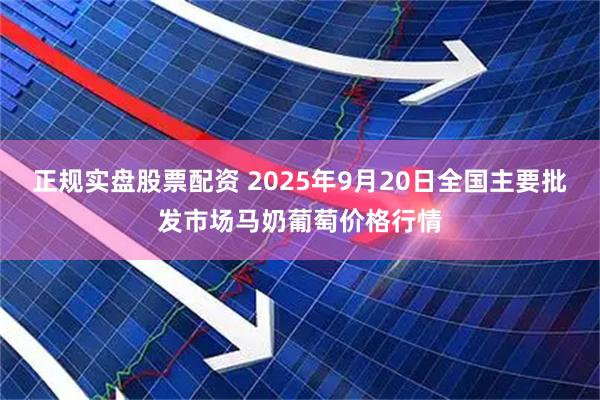 正规实盘股票配资 2025年9月20日全国主要批发市场马奶葡萄价格行情